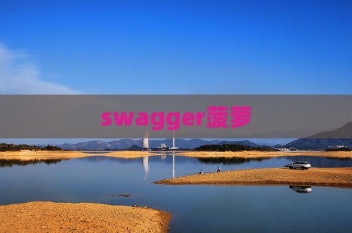 swagger菠萝 swagger菠萝
